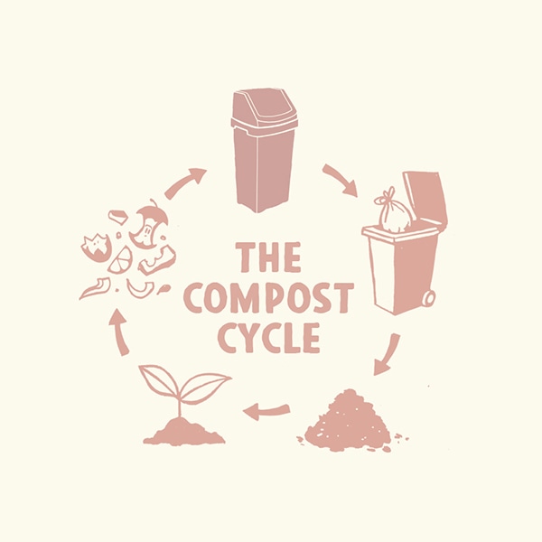 The compost cycle