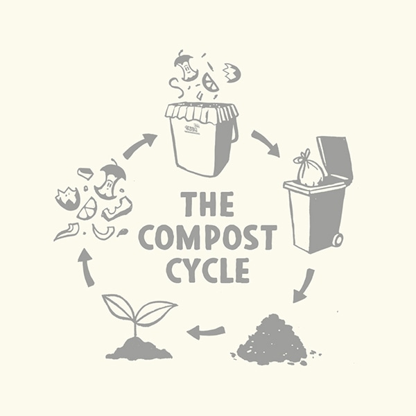 The compost cycle