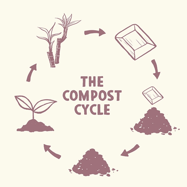 The Compost Cycle
