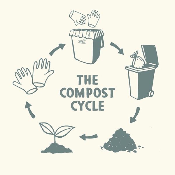 The compost cycle