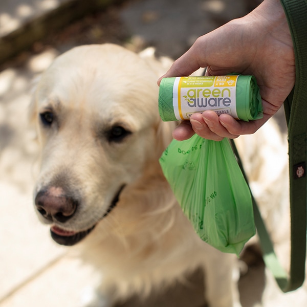 Dog in background, person's hand honging roll of compostable dog waste bags in forground