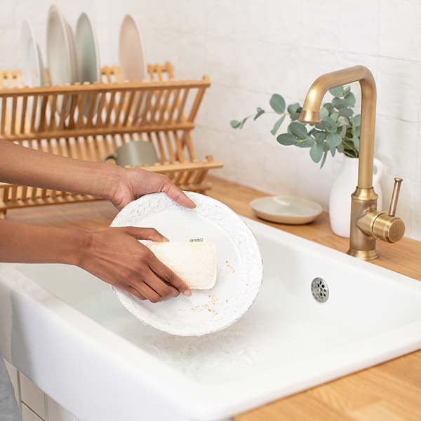 Cleaning a Plate With a Natural Sponge Scourer in a Sink