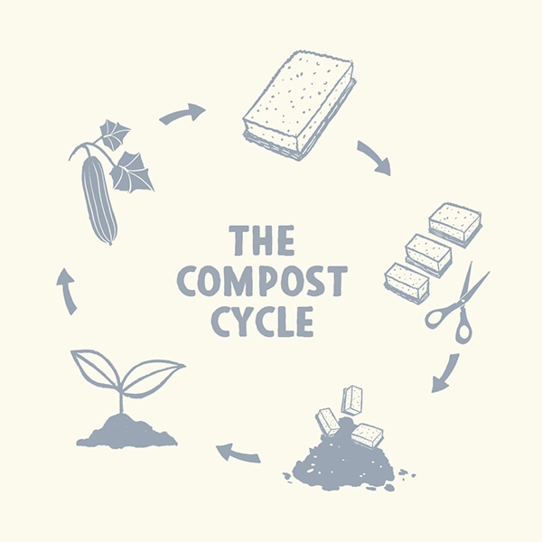 The compost cycle